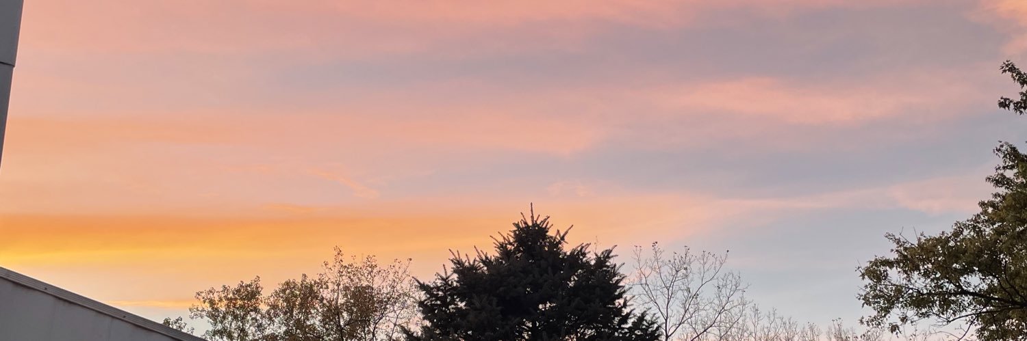 AlyviaOrt's profile banner image