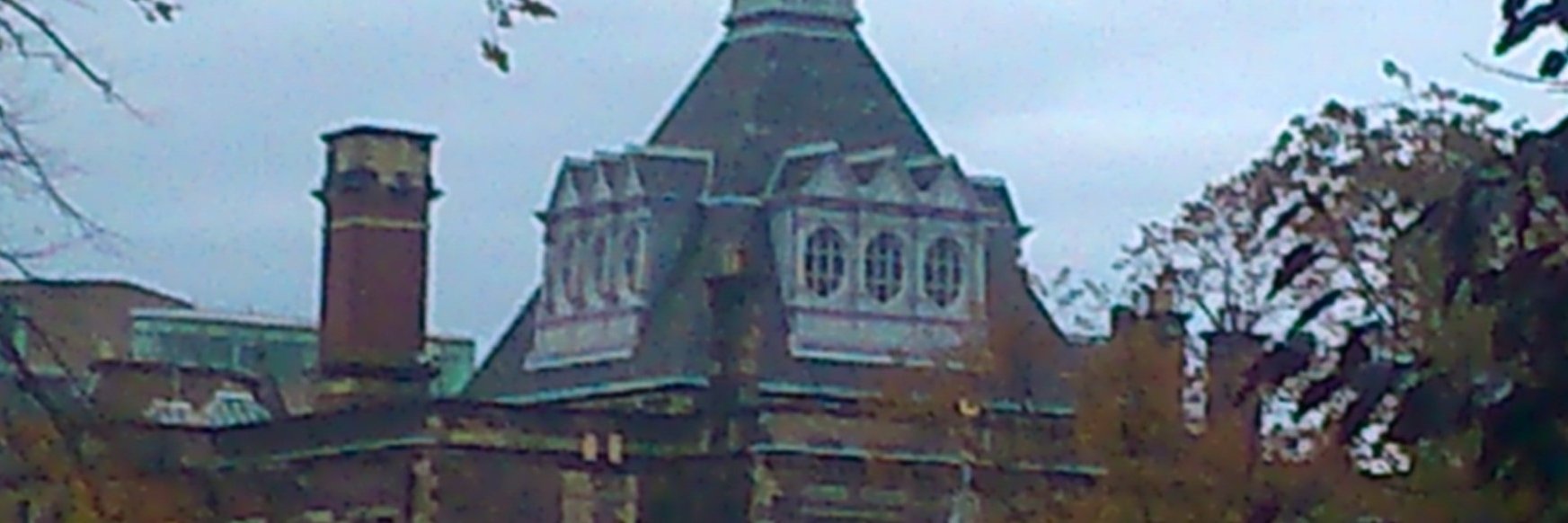 bookish_cats_aye banner