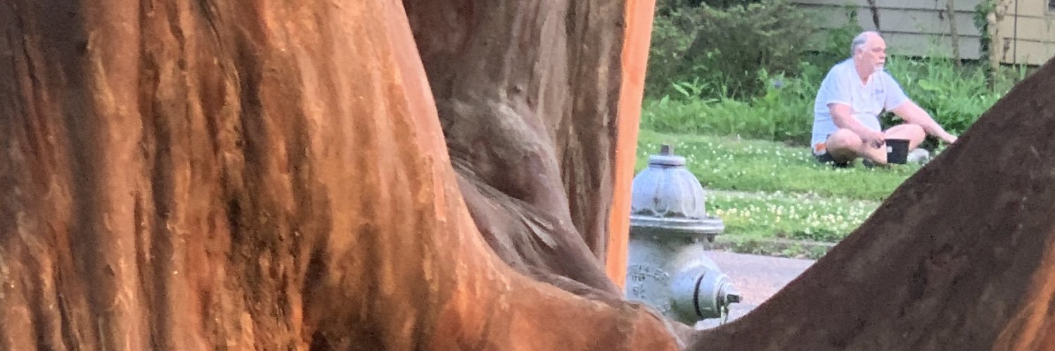 noodleheir's profile banner image