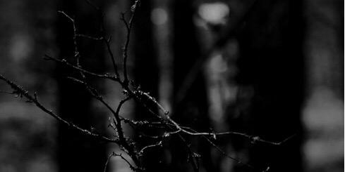AlejaAcostta's profile banner image