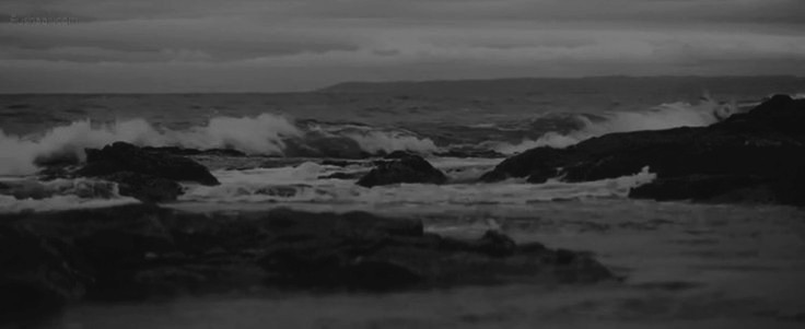 REVENDIM's profile banner image