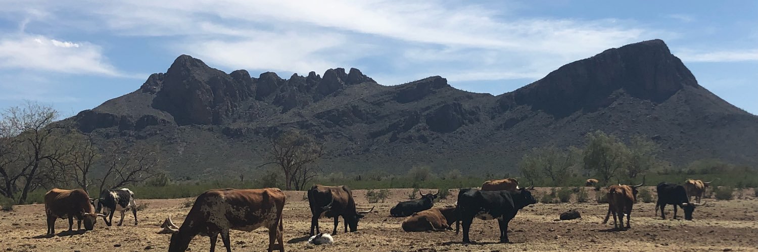 chrisgrimesaz's profile banner image
