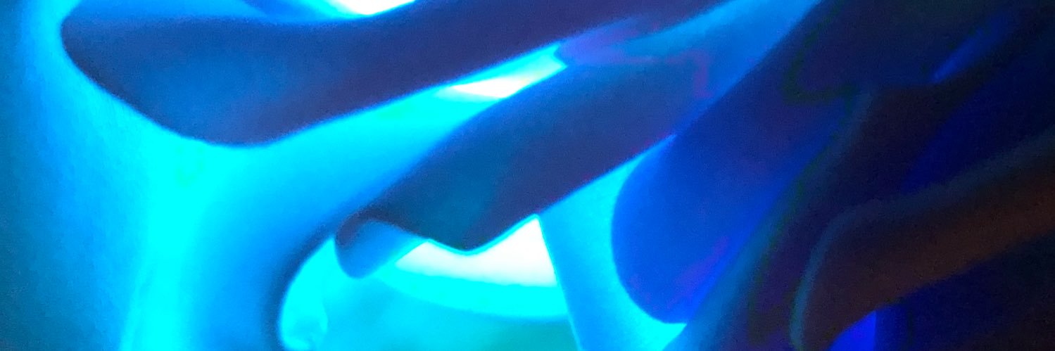 AllieFal11's profile banner image