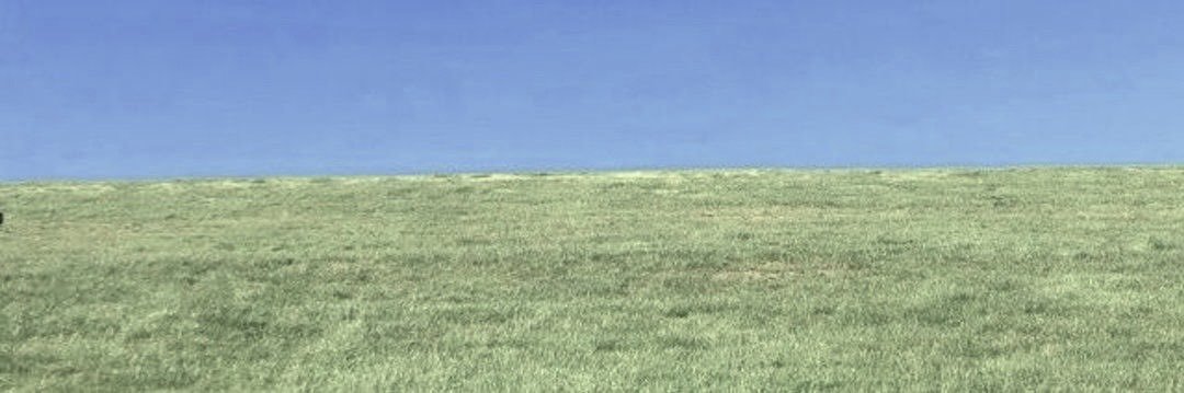 wonywe's profile banner image