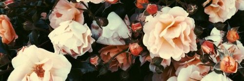 JassoSurii's profile banner image