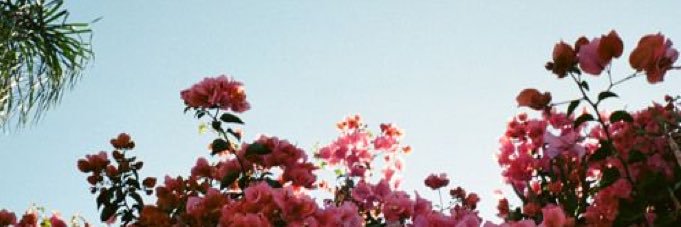 kirradrake_'s profile banner image