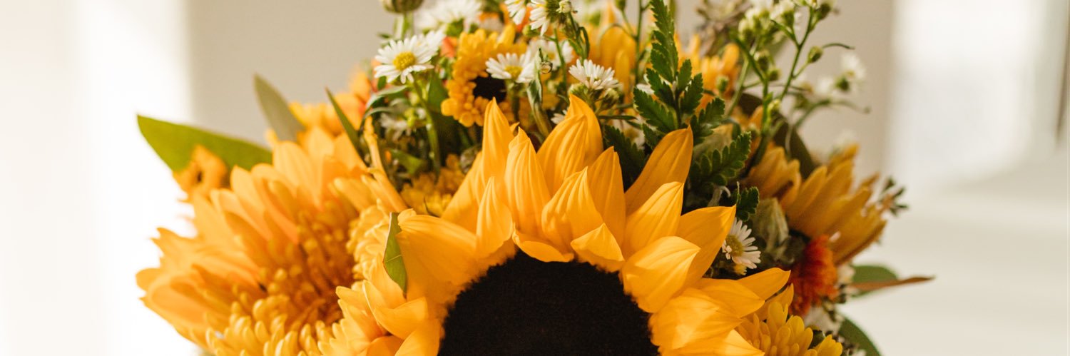 dafne_g_'s profile banner image