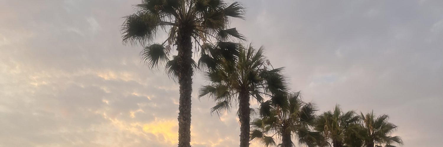no_nipp's profile banner image