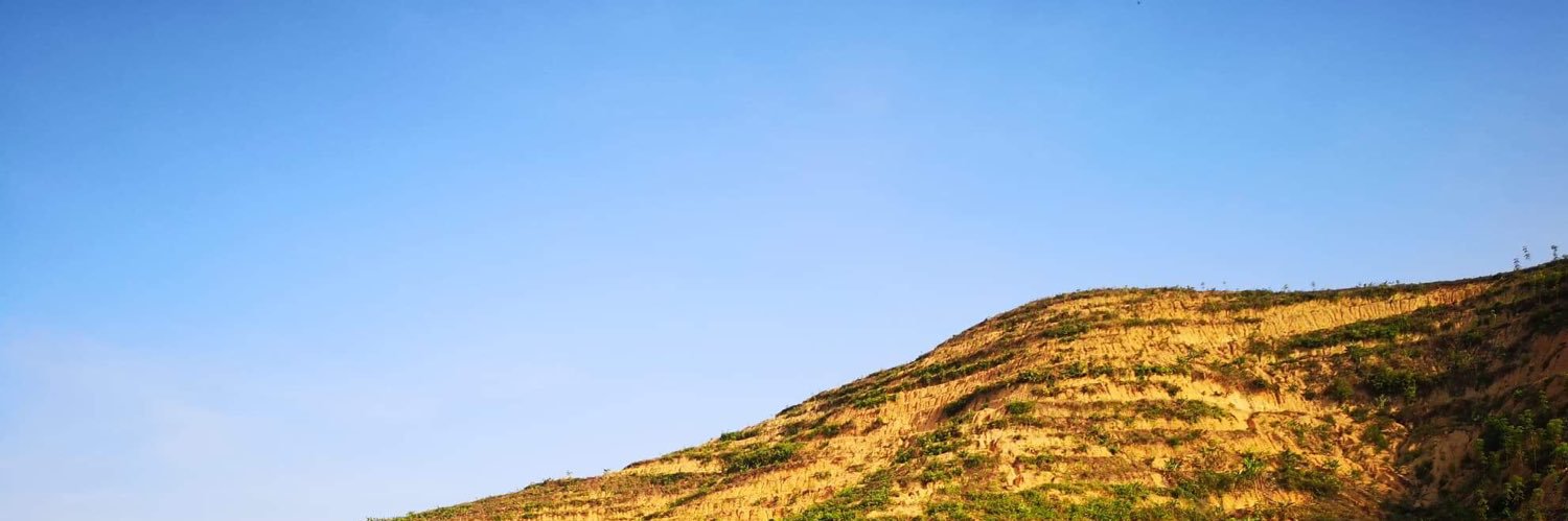 MookApichaya's profile banner image