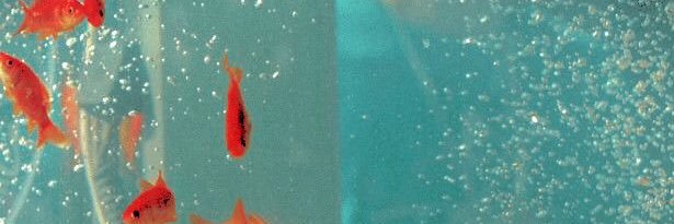 tntb00m's profile banner image