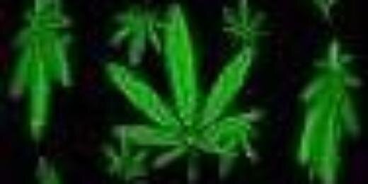 Cronic banner