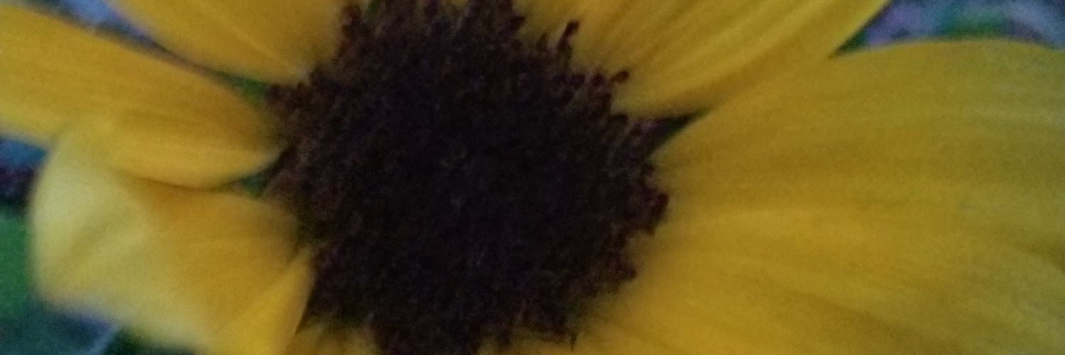 ReiserMonica's profile banner image