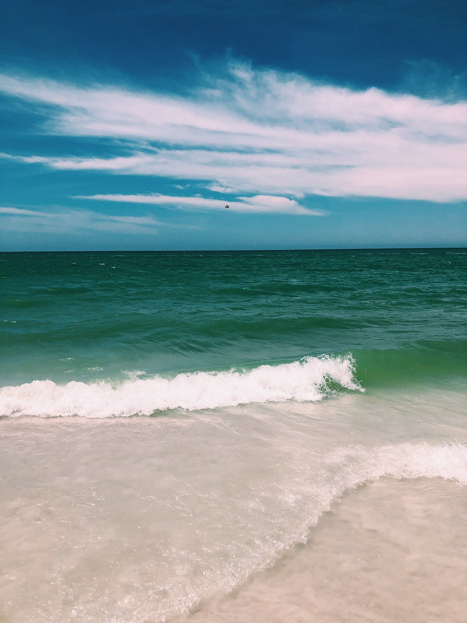 caroline_lee7's profile banner image