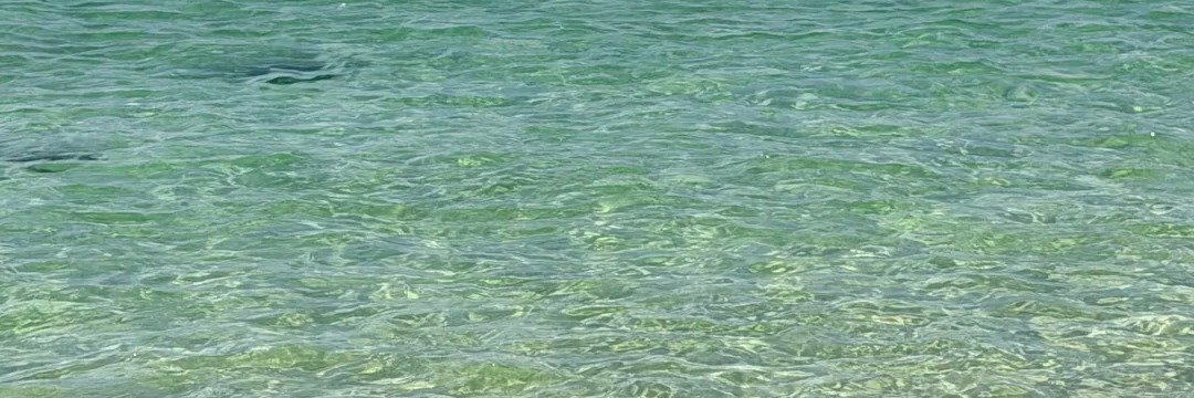 aacsponge's profile banner image