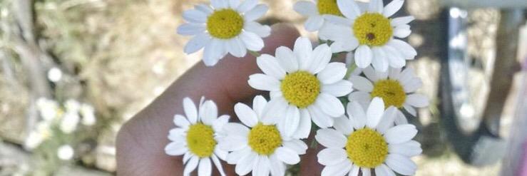 nuryabani's profile banner image