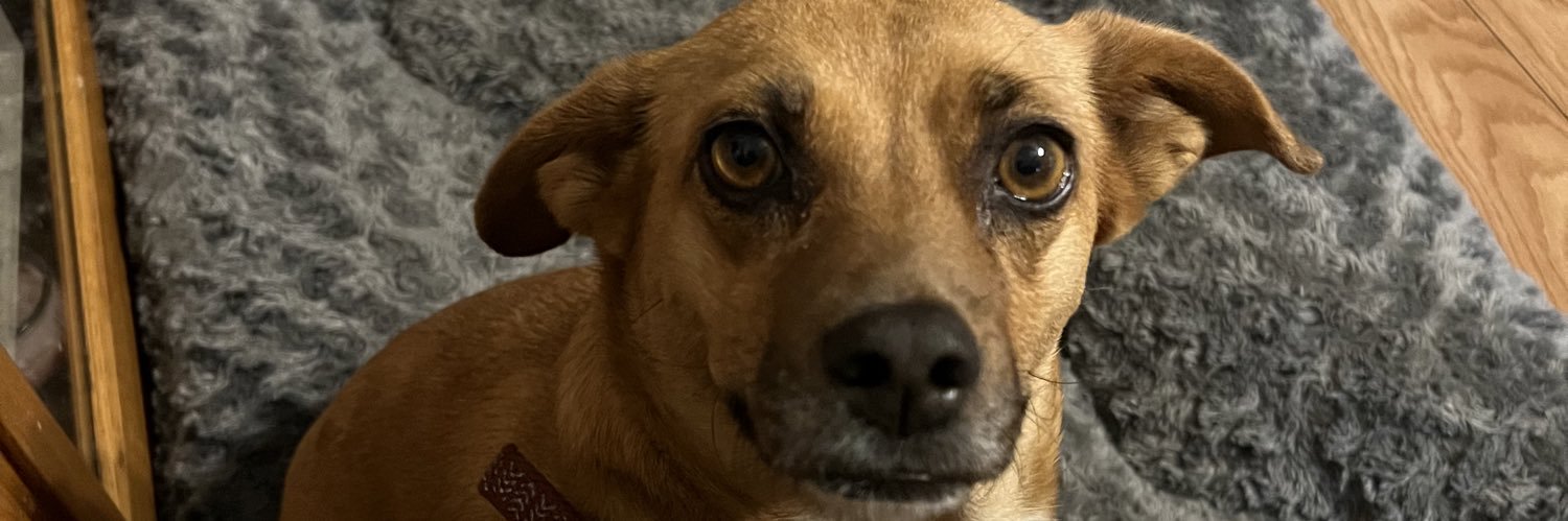 nelliorozco_'s profile banner image