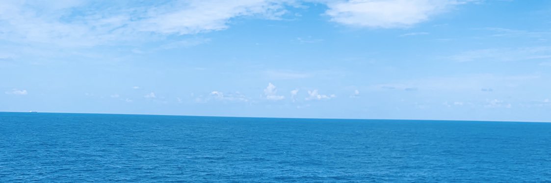 Renee_LoBue's profile banner image