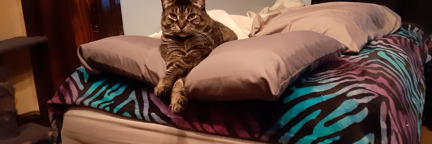 Melanie burd 🟧💙🌊 banner