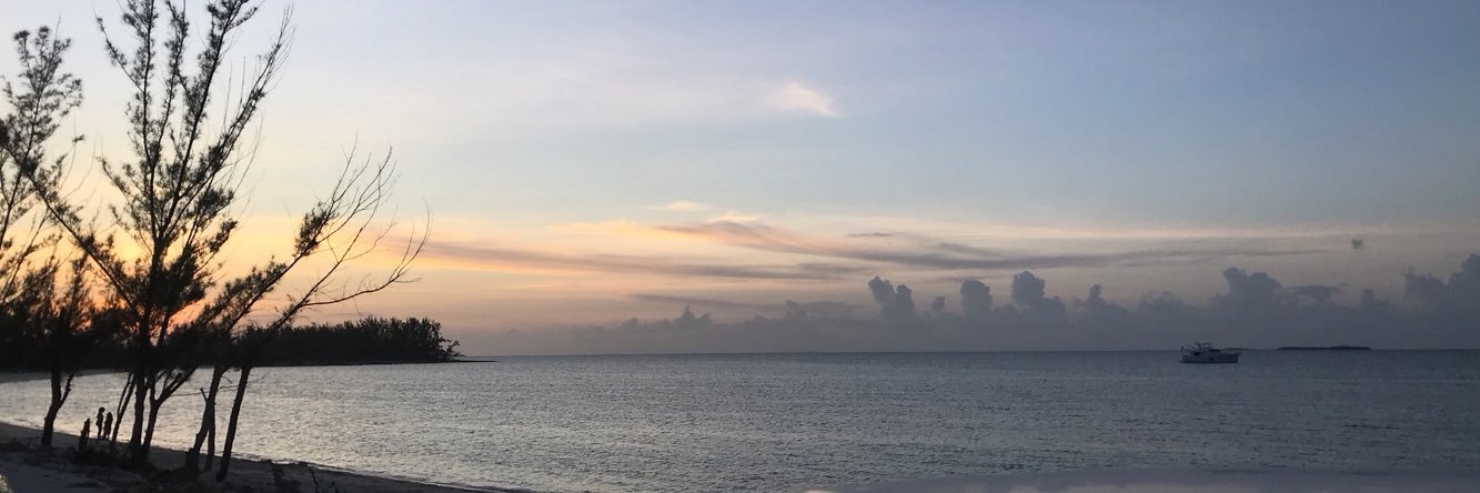 branea_love's profile banner image