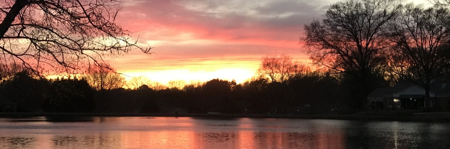 Calci-D 💉💉💉💉🇺🇦🌻🇺🇸⚖️ banner