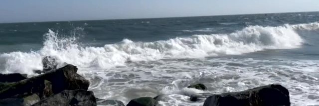 Esperanza Smith banner