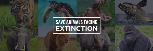 SaveAnimals Profile Banner