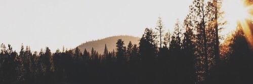 thinkingbypink's profile banner image