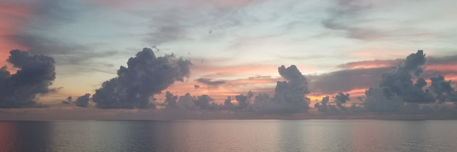 timdphillips20's profile banner image
