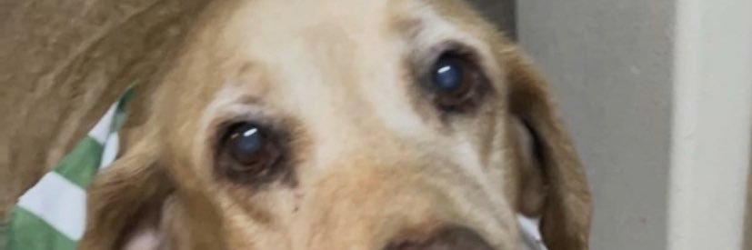 Christian3719's profile banner image