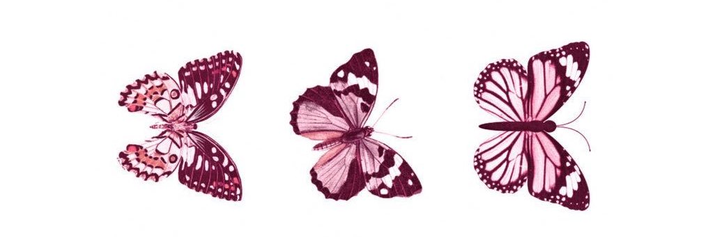 lil banner