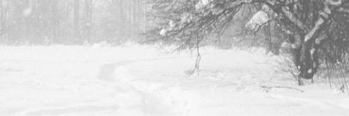 Liamscandy's profile banner image