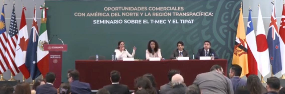 Sofía Niño de Rivera banner