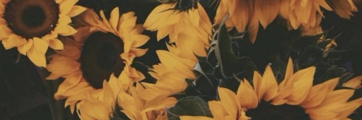 imjohnaee's profile banner image
