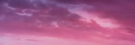 Egg 🧩🌹🍀 banner