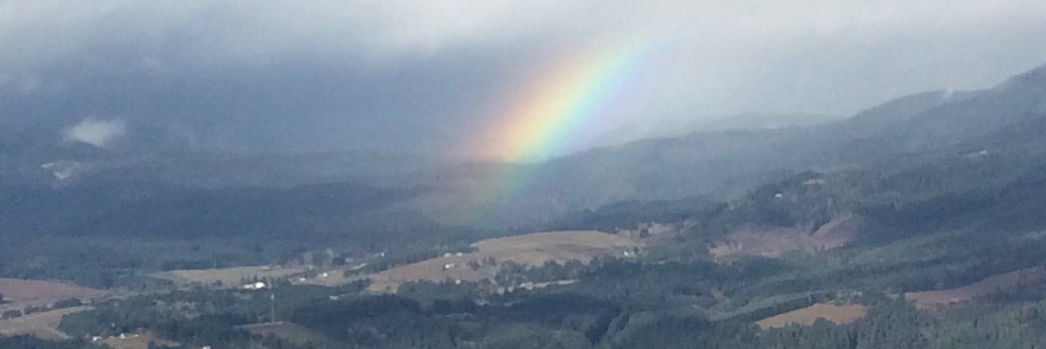 Dayle Spitzer banner