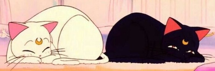 martufernandee's profile banner image