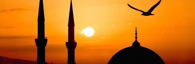 ALTAKWAA's profile banner image