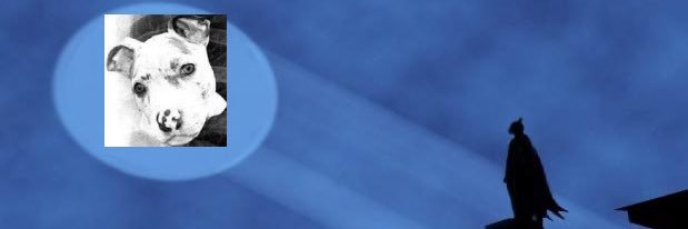 FarrowMaurice's profile banner image