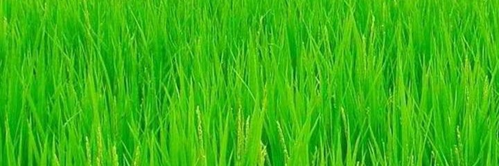 VJMOHN banner