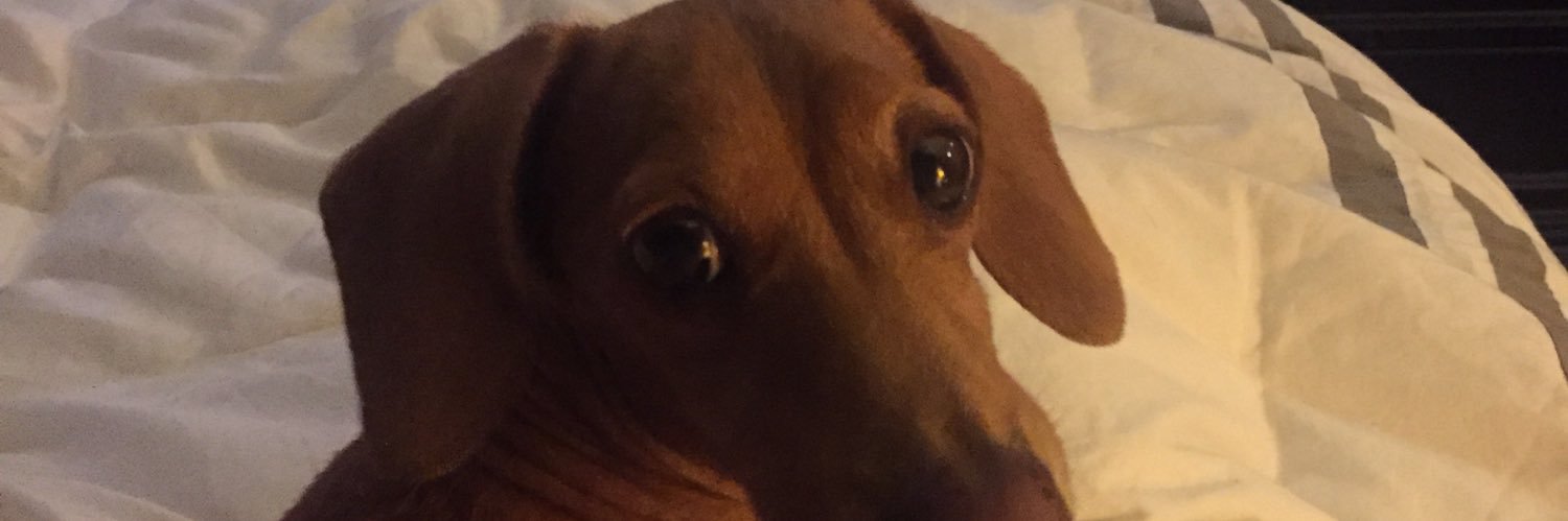 itstracy's profile banner image