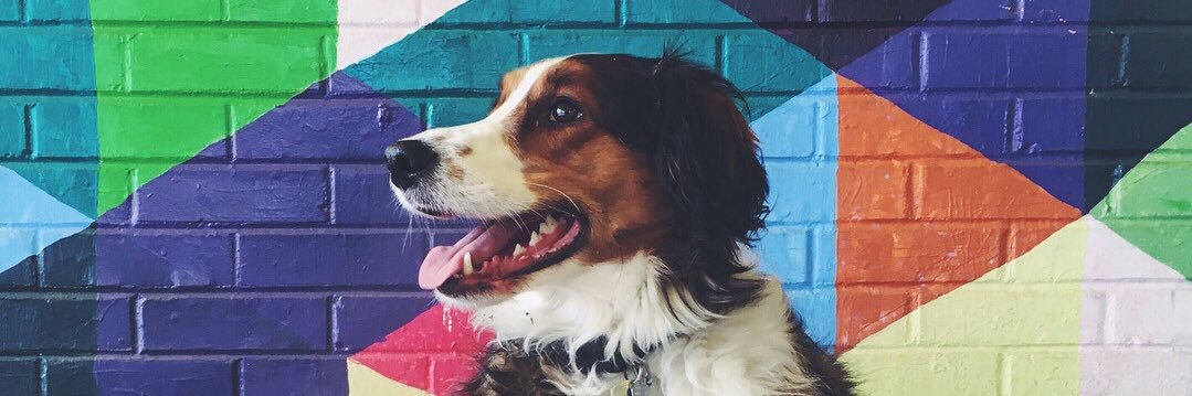 jonahwilliam's profile banner image