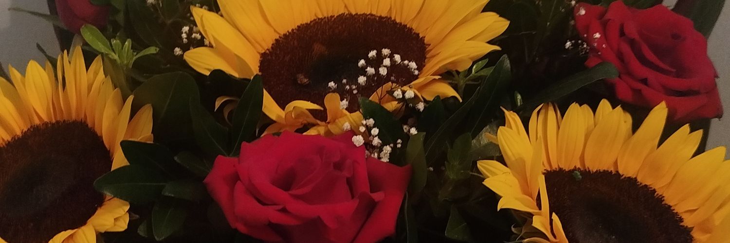 DaliXime's profile banner image