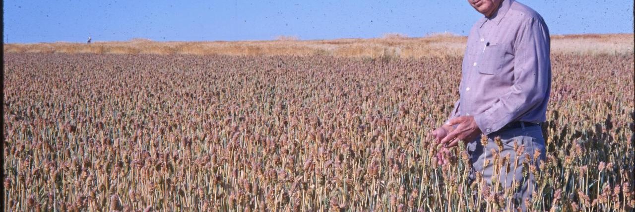 Sometimes Business banner