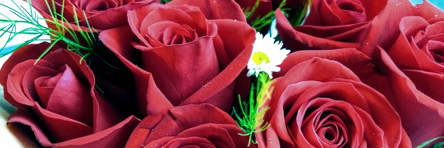blank_139's profile banner image