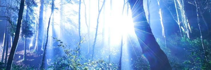 campcompREST's profile banner image