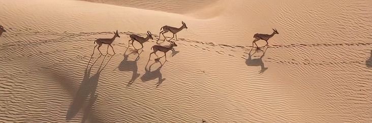 hllu7__'s profile banner image