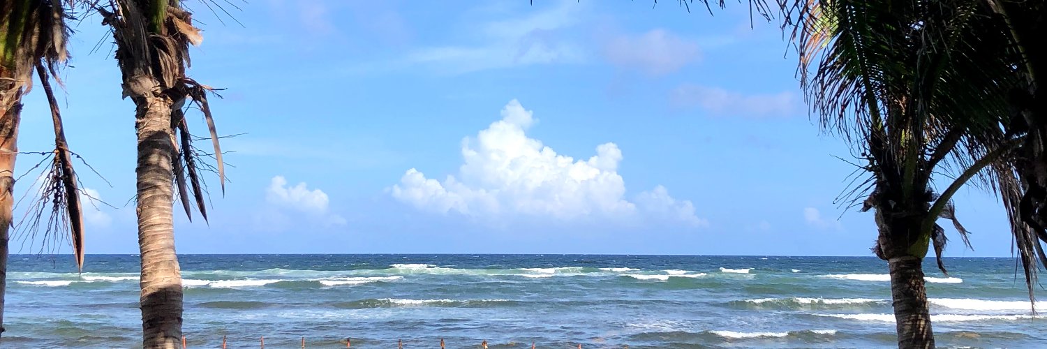 Michelle Boyce banner