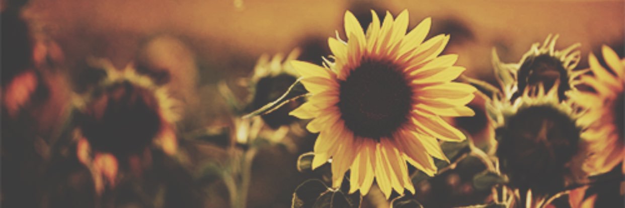 BecBadgley's profile banner image