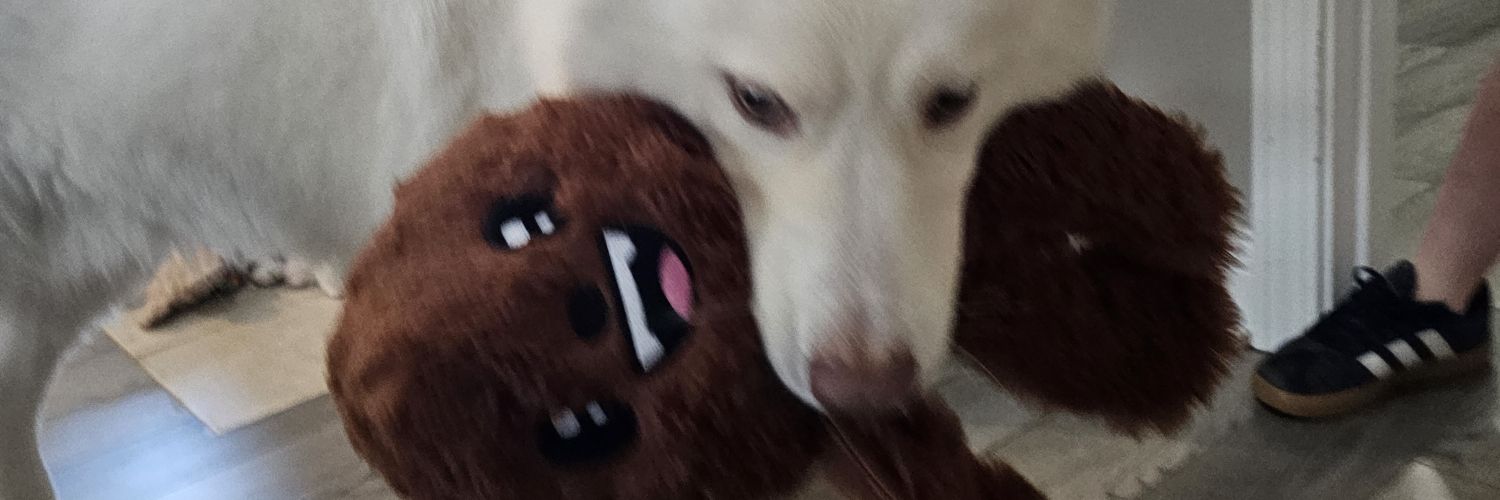 Zbrown1212's profile banner image