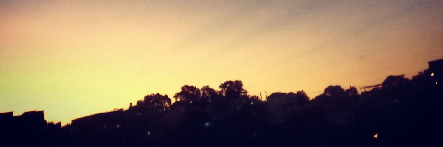 sydneysenna's profile banner image